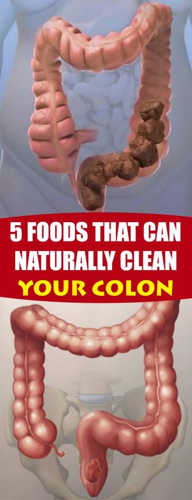 Here is a list of foods that can naturally clean your colon. Try them and your digestive system will work perfectly!