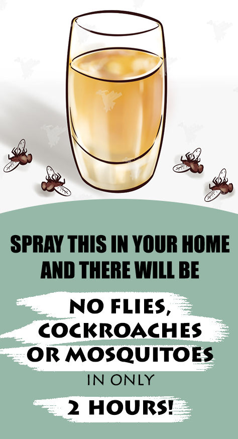 You know what very kills our mood? Seeing a fly, dipterous insect or dictyopterous insect freely roaming in our home. Keeping a home organized and clean isn’t a simple task, however exploit it dirty can attract a lot of of those annoying pests.