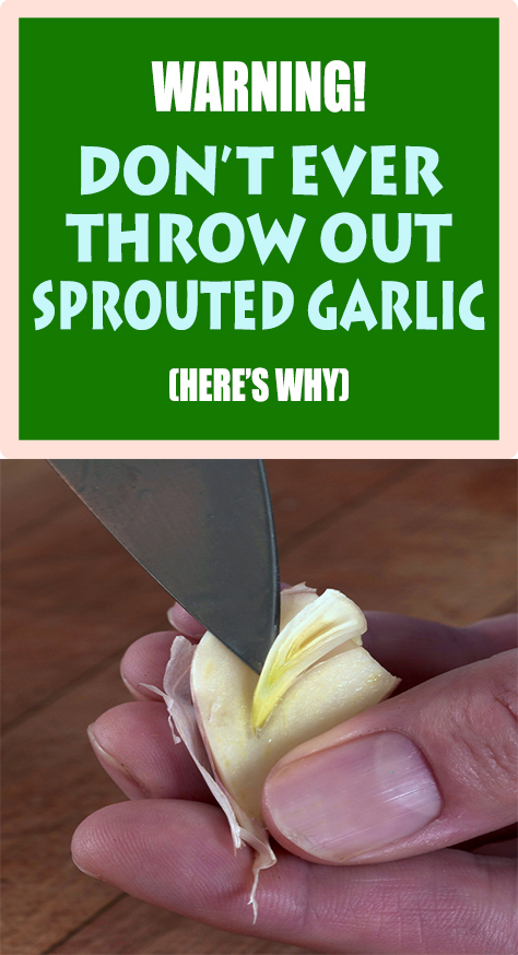 Today we are going to present you the best reasons and facts why you should keep sprouted garlic.