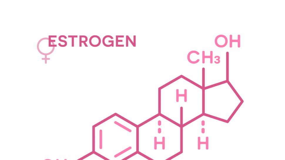 Causes of High Estrogen Levels